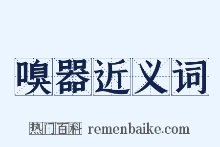 嗅器近义词是什么意思的图片